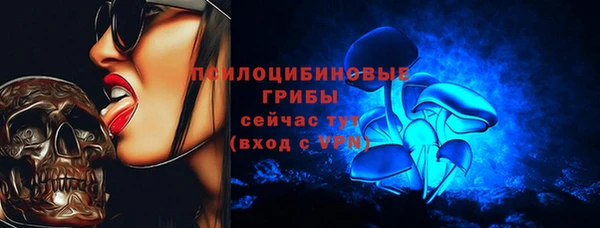 ешки Покровск