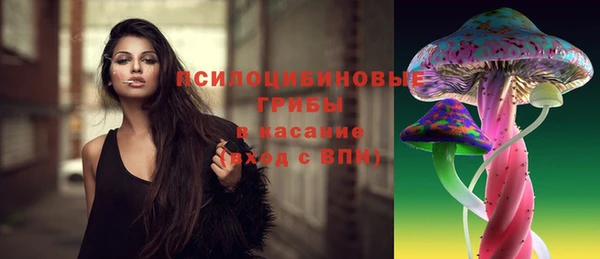 МДПВ Абинск