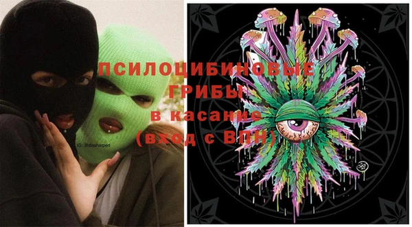 ПСИЛОЦИБИНОВЫЕ ГРИБЫ Покров